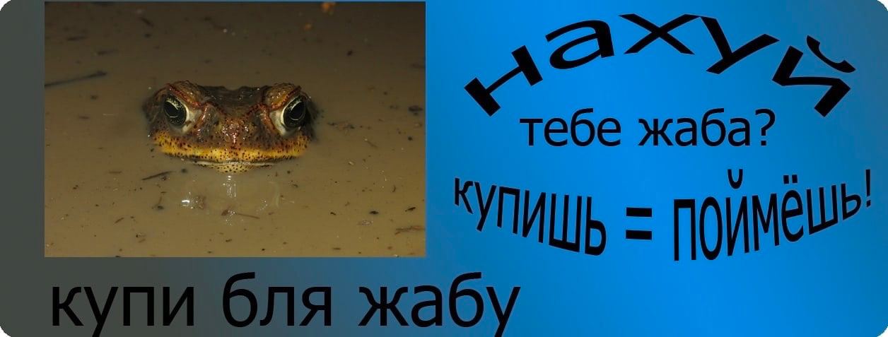 тебе жаба? купи бля жабу