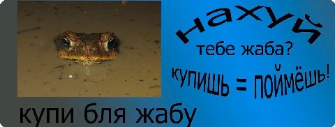 тебе жаба? купи бля жабу