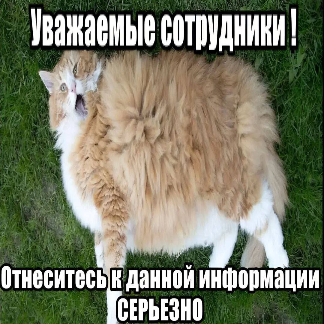 сотрудники! Отнеситеськ данной информации СЕРЬЕЗНО