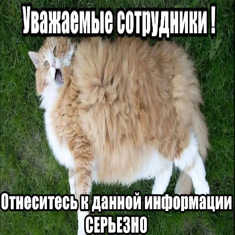сотрудники! Отнеситеськ данной информации СЕРЬЕЗНО