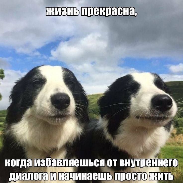 прекрасна я когда избавляешься от внутреннего нач инаешь просто ЖИТЬ