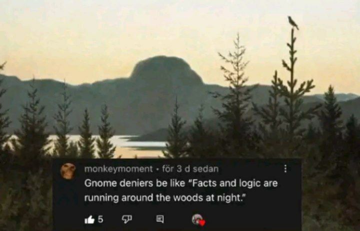key ent Gnome deniers be like “Facts and logic are running around the woods at night.” 5