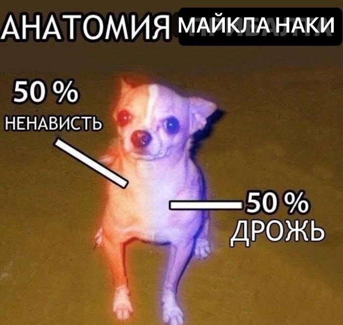 АНАТОМИЯ МАЙКЛА НАКИ 50% 7 НЕНАВИСТЬ ДРОЖЬ A i