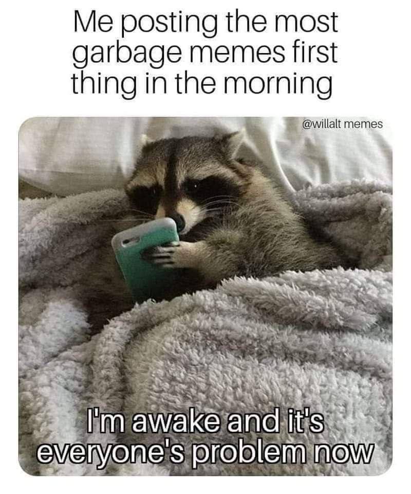 Me posting the most garbage memes ning in the morning @willalt memes 7 bas awake’ and 5