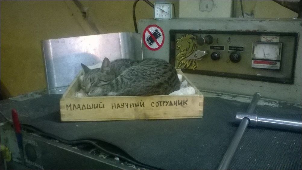 3 1 3 СОТРУАНИК
