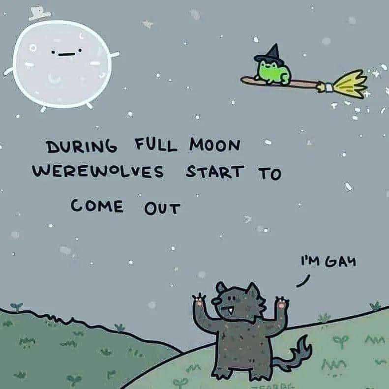 DURING FULL MOON WEREWOLVES START To COME
