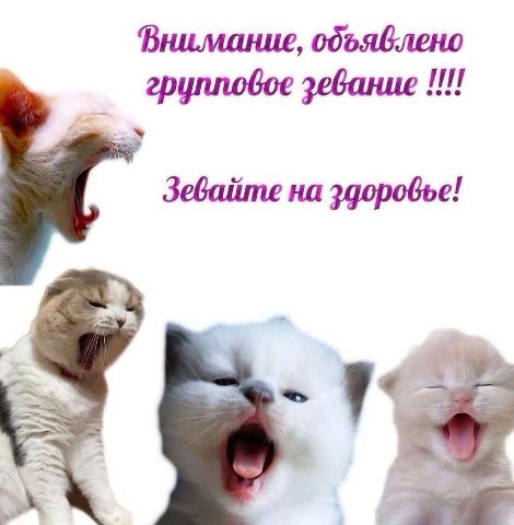 Внимание, групповое зевание Зевайте на здоровье!