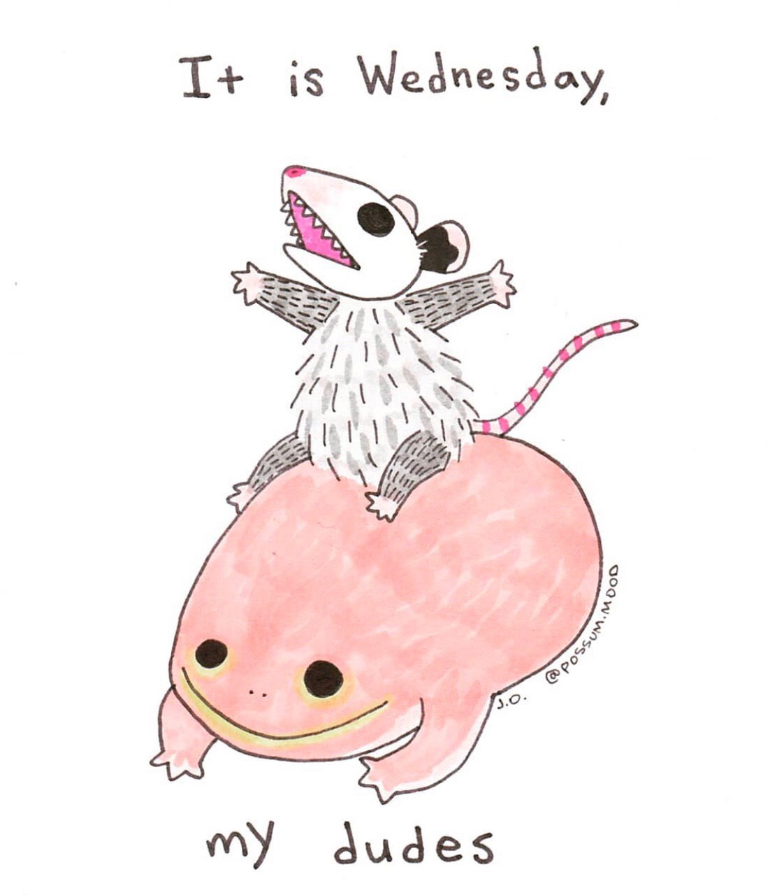 is Wednesday my dudes