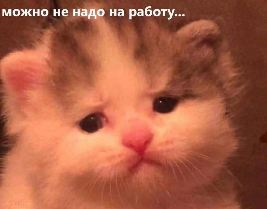 можно не надо на работу...