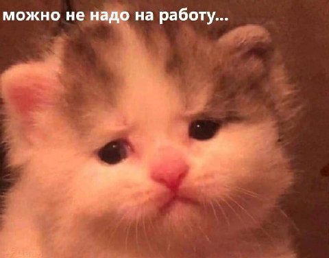 можно не надо на работу...