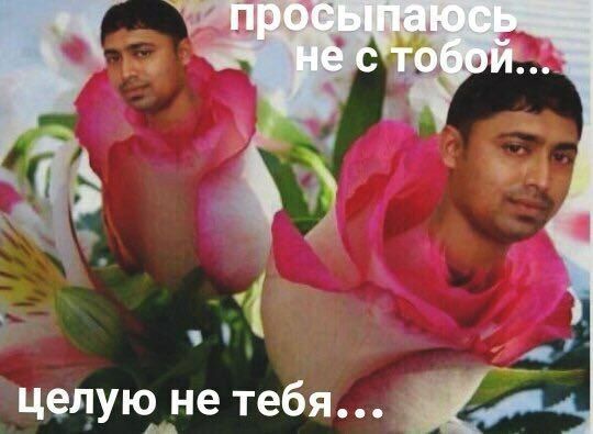 про CBiftak стобой целую не тебя...
