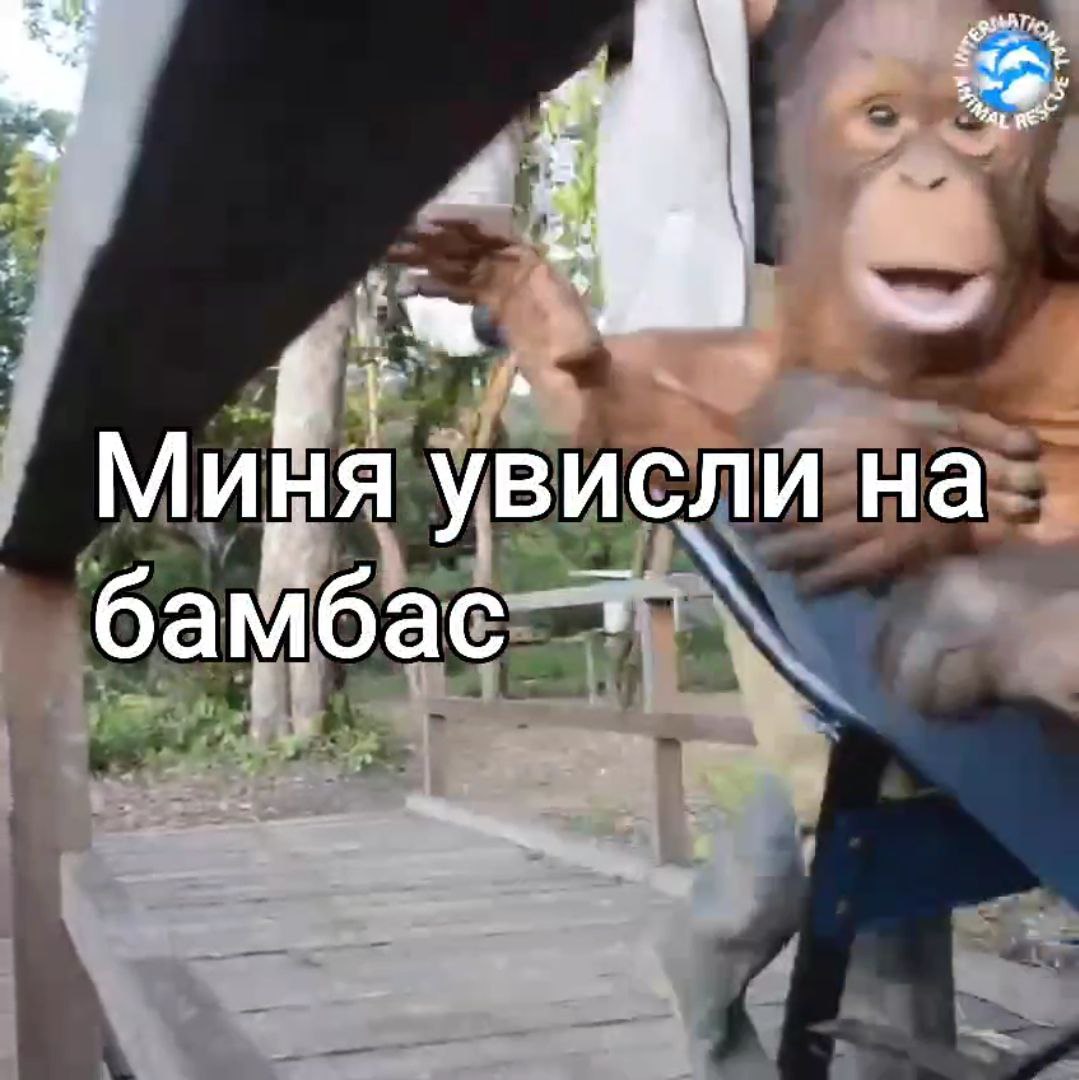 А a Миня увисли на бамбас