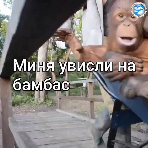 А a Миня увисли на бамбас