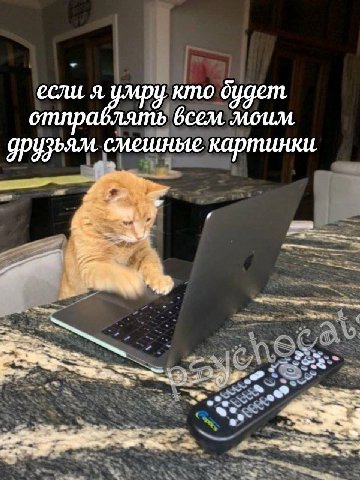 если кто дудет отправлять моим. смешные картинки