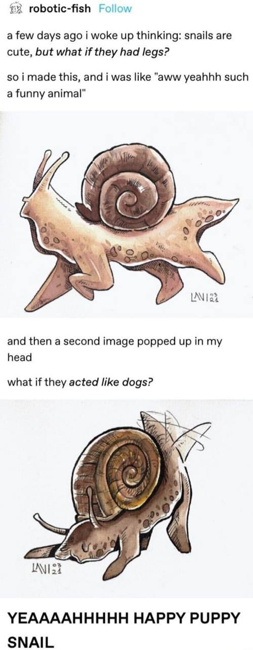 2 robotic-fish Follow a few days ago i woke up thinking: snails are cute, but what if they had legs? so i made this, and i was like "aww yeahhh such a funny animal" 2 0° and then a second image popped