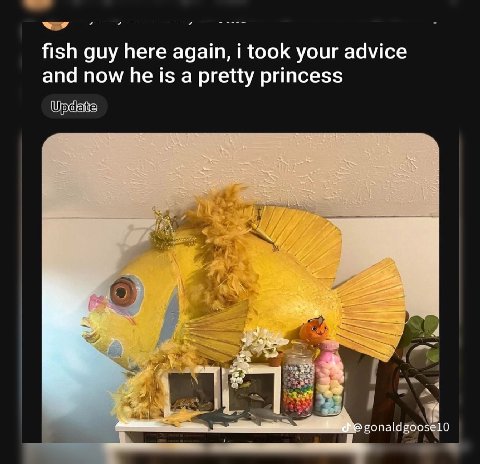 fish guy here again, i took your advice and now he is a pretty princess