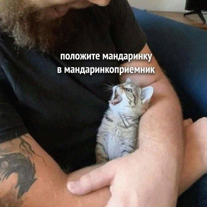 положите мандаринку в мандаринкоприемник