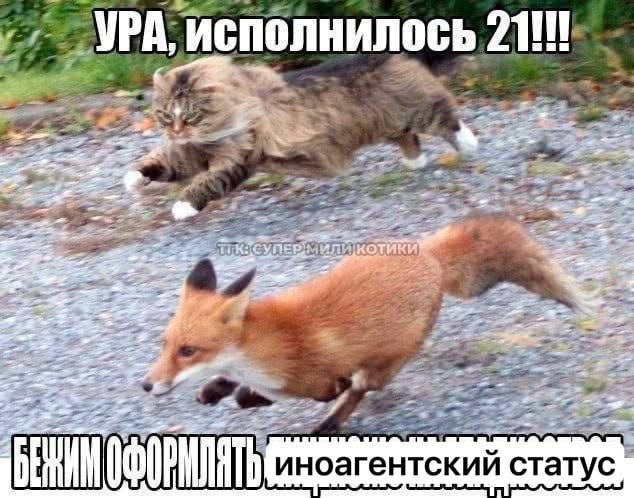 УРА, исполнилось 2111 i иноагентскии статус I