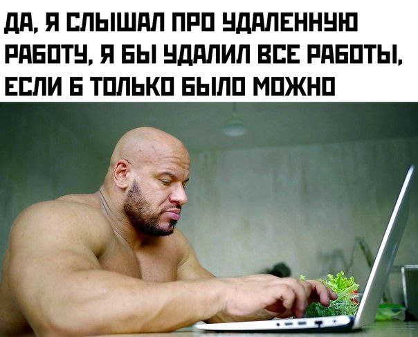 ДА, Я СЛЫШАЛ ПРО УДАЛЕННУЮ РАБОТУ, Я БЫ УДАЛИЛ ВСЕ РАБОТЫ, ЕСЛИ 6 ТОЛЬКО БЫЛО МОЖНО