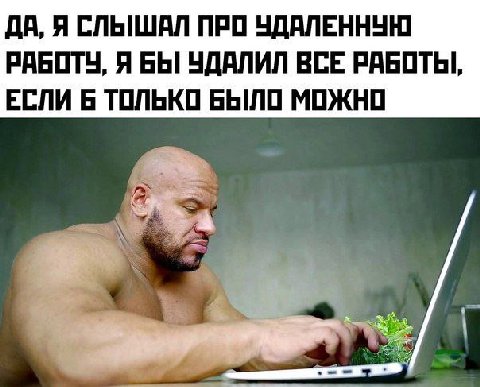 ДА, Я СЛЫШАЛ ПРО УДАЛЕННУЮ РАБОТУ, Я БЫ УДАЛИЛ ВСЕ РАБОТЫ, ЕСЛИ 6 ТОЛЬКО БЫЛО МОЖНО
