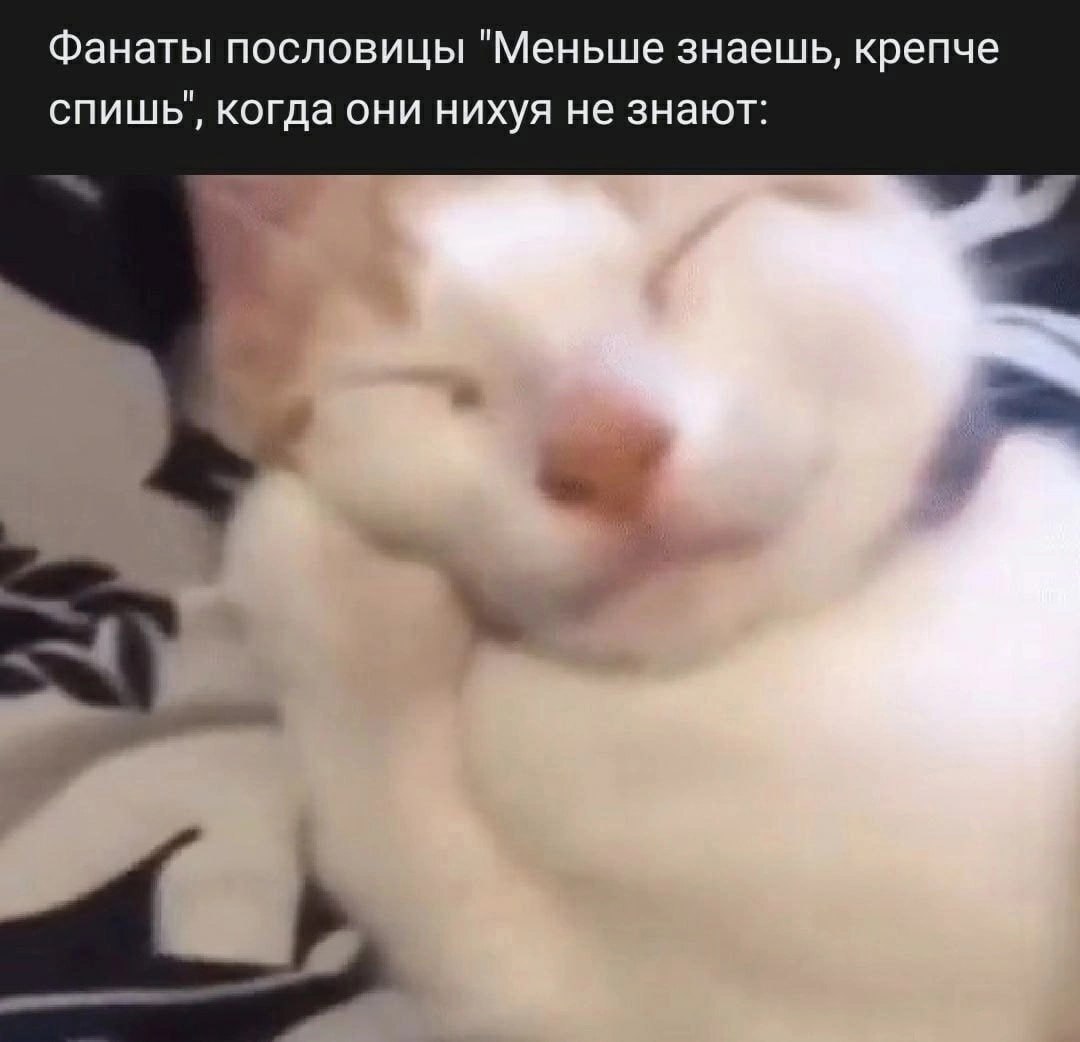 фанаты пословицы "Меньше знаешь, крепче спишь", когда они нихуя не знают: