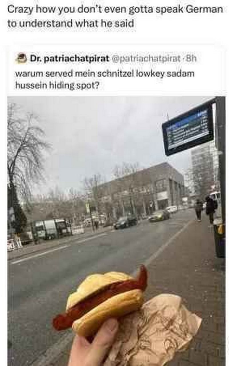 Crazy how you don’t even gotta speak German to understand what he said patriachatpirat @patriachatpirat warum served mein schnitzel lowkey sadam hussein hiding spot? a