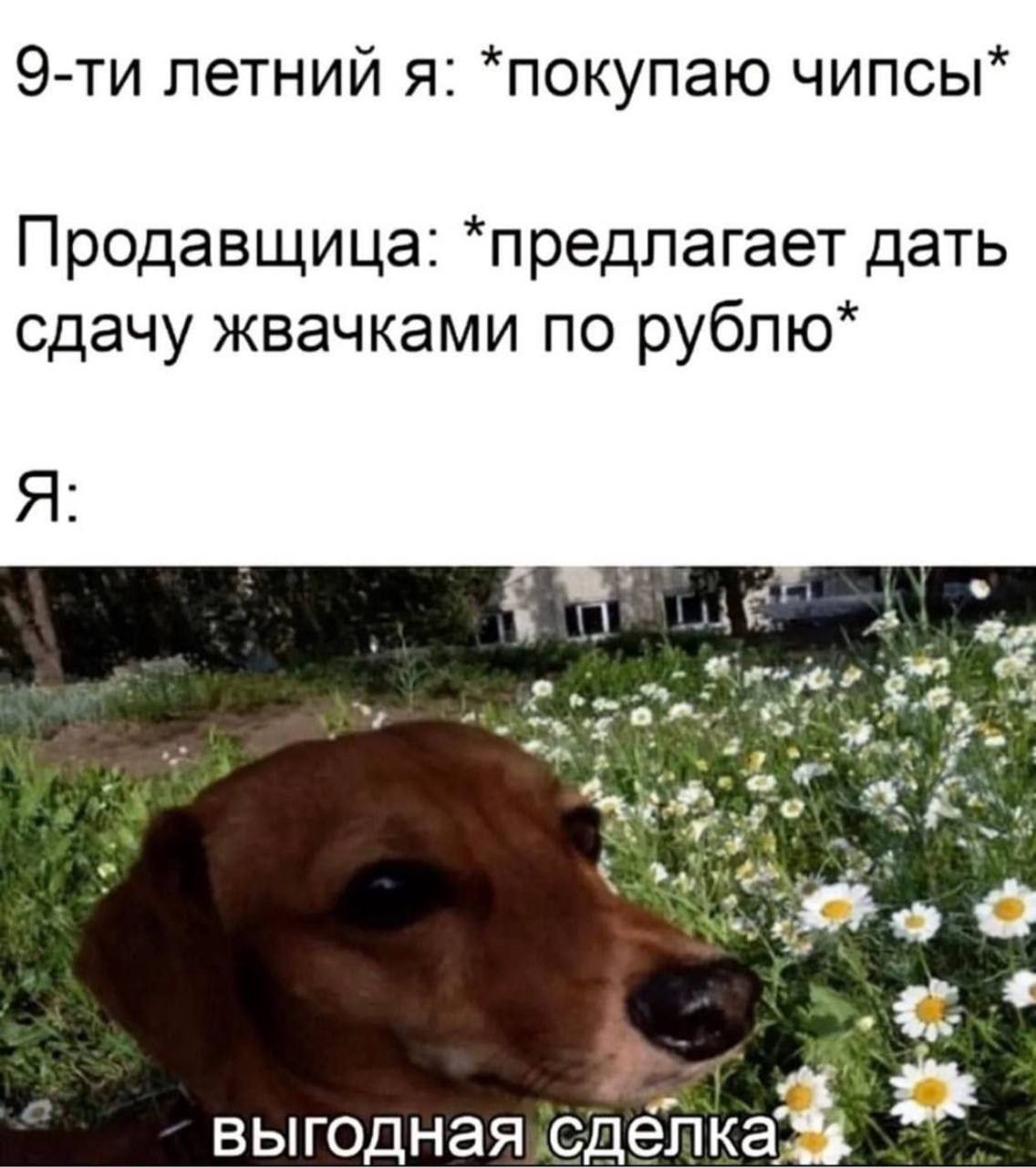 летний я: *покупаю чипсы* Продавщица: *предлагает дать сдачу жвачками по рублю* Я: выгодная