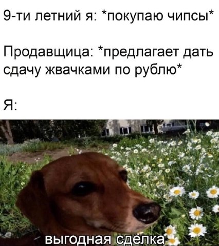 летний я: *покупаю чипсы* Продавщица: *предлагает дать сдачу жвачками по рублю* Я: выгодная