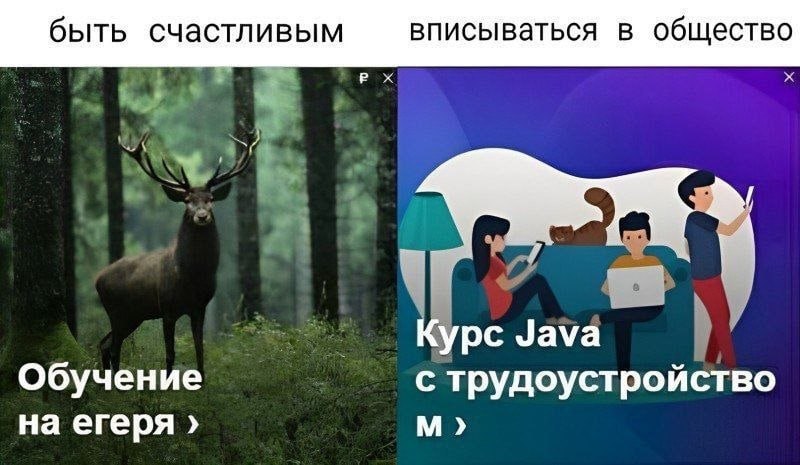 быть счастливым вписываться в общество Чауа обучение с трудоустройство на егеря