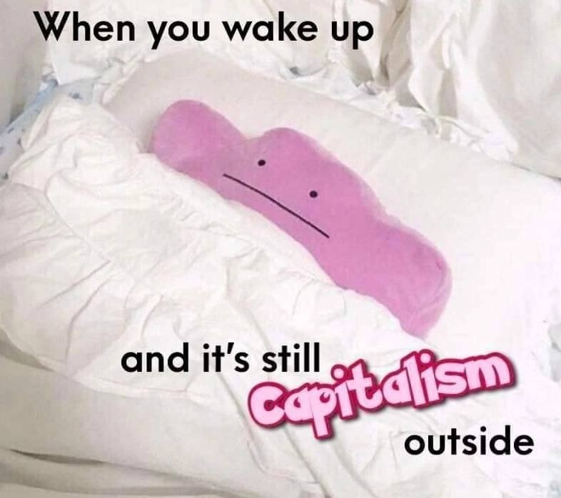 When you wake up outside