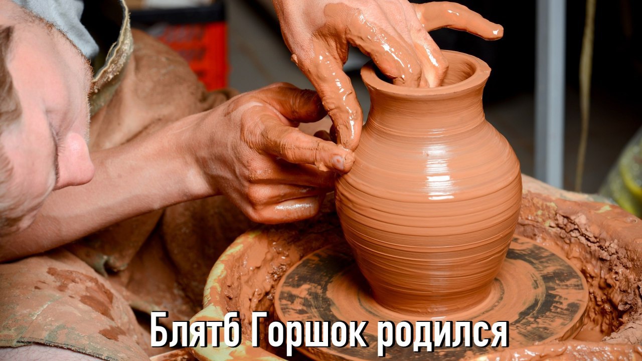Горшок родился