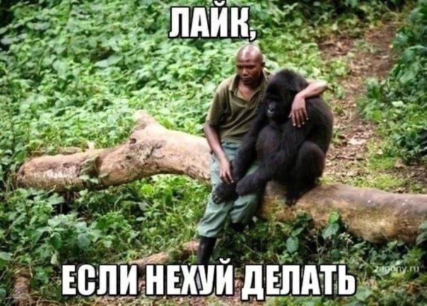 a at a Че: wee у AS. 43 tre 5 Hie 4% 5% 3 HE ХУЙ. ‚ДЕЛАТЬ.