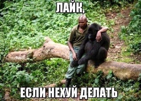 a at a Че: wee у AS. 43 tre 5 Hie 4% 5% 3 HE ХУЙ. ‚ДЕЛАТЬ.