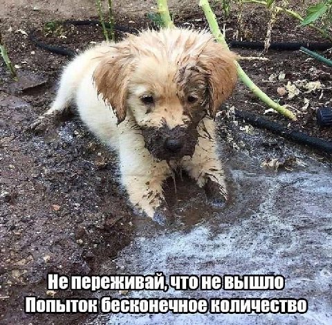 7 Я a. a. 2. He переживай: He и бесконечное количество