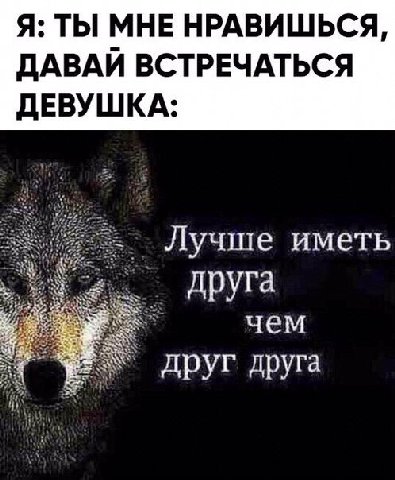 Я: ТЫ МНЕ НРАВИШЬСЯ, ДАВАЙ ВСТРЕЧАТЬСЯ ДЕВУШКА: Лучше иметь друга чем друг друга