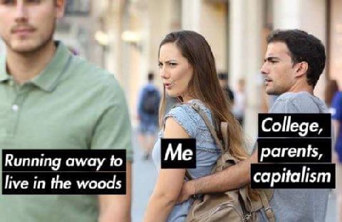 College, Running away to Me parents, live in the woods