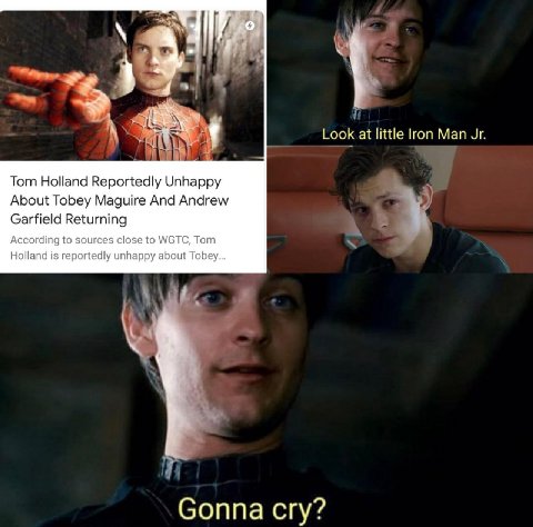 Look little гоп Man we Tom Holland Reportedly Unhappy About Tobey Maguire And Andrew Garfield Returning Соппа сгу?