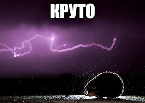 КРУТО