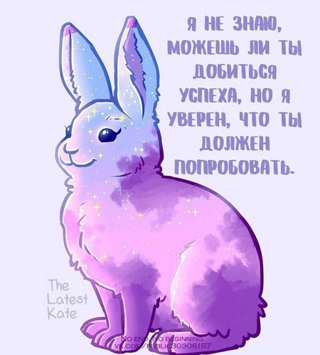 Я НЕ ЗНАЮ, МОЖЕШЬ ЛИ ТЫ УСПЕХА, Я УВЕРЕН, ЧТО ТЫ ДОЛЖЕН ПОПРОБОВАТЬ.