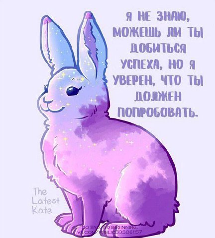 Я НЕ ЗНАЮ, МОЖЕШЬ ЛИ ТЫ УСПЕХА, Я УВЕРЕН, ЧТО ТЫ ДОЛЖЕН ПОПРОБОВАТЬ.