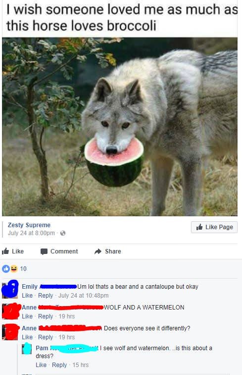 wish someone loved as much as this horse lov roccoli и eme Zesty Jul if Like Page 2 Like Share Comment 10 Emily |0! thats a bear and a cantaloupe but okay Like Reply July 24 at Аппе AND А WATERMELON [