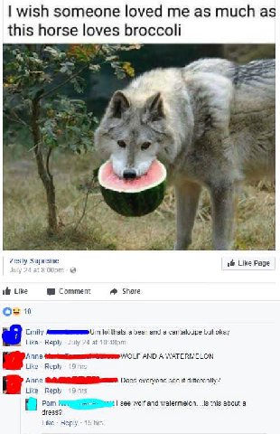 wish someone loved as much as this horse lov roccoli и eme Zesty Jul if Like Page 2 Like Share Comment 10 Emily |0! thats a bear and a cantaloupe but okay Like Reply July 24 at Аппе AND А WATERMELON [