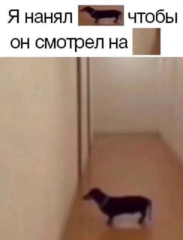 Я нанял чтобы он смотрел на