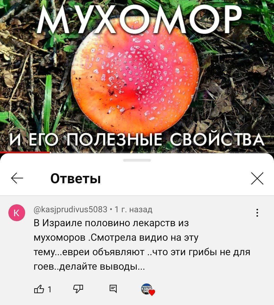 4 42% i ОЛЕЗНЫЕ СВОИСТ Ответы @kasjprudivus5083 1 назад В Израиле половино лекарств из мухоморов видио на эту тему...евреи объявляют ..что эти грибы не для гоев..делайте выводы... 1