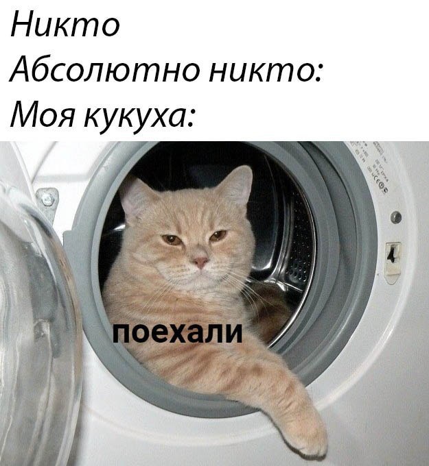 Никто Абсолютно никто: а: Moa 4