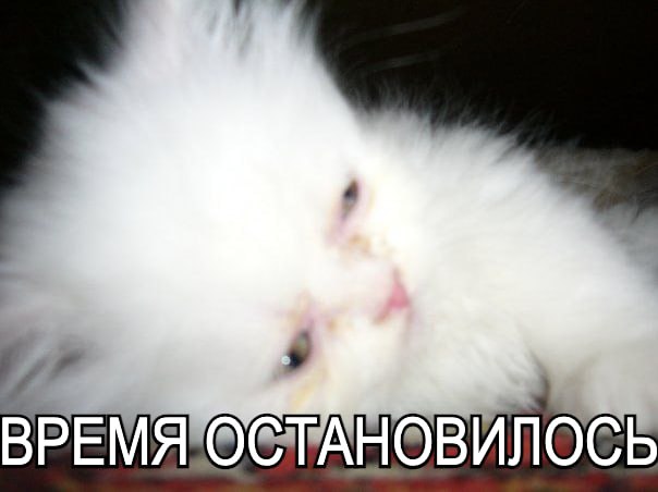 Fag я ВРЕМЯЮСТАНОВИЛОСЬ