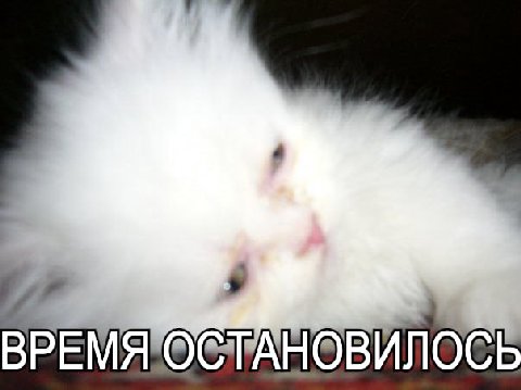 Fag я ВРЕМЯЮСТАНОВИЛОСЬ