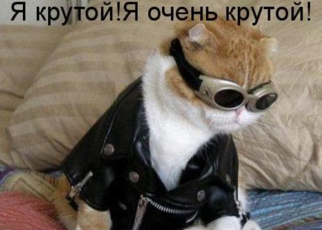 Я крутой!Я очень крутой!