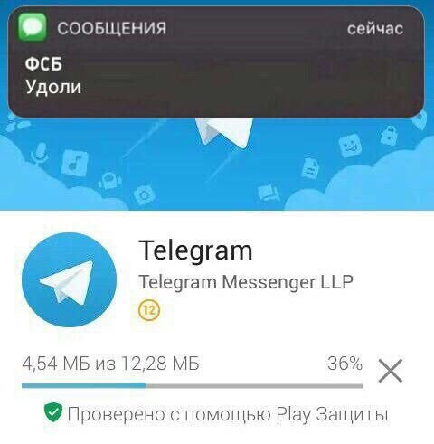 сейчас ФСБ Удоли Telegram Telegram Messenger LLP 4,54 из 12,28 36% 9 Проверено с помощью Р!ау Защиты