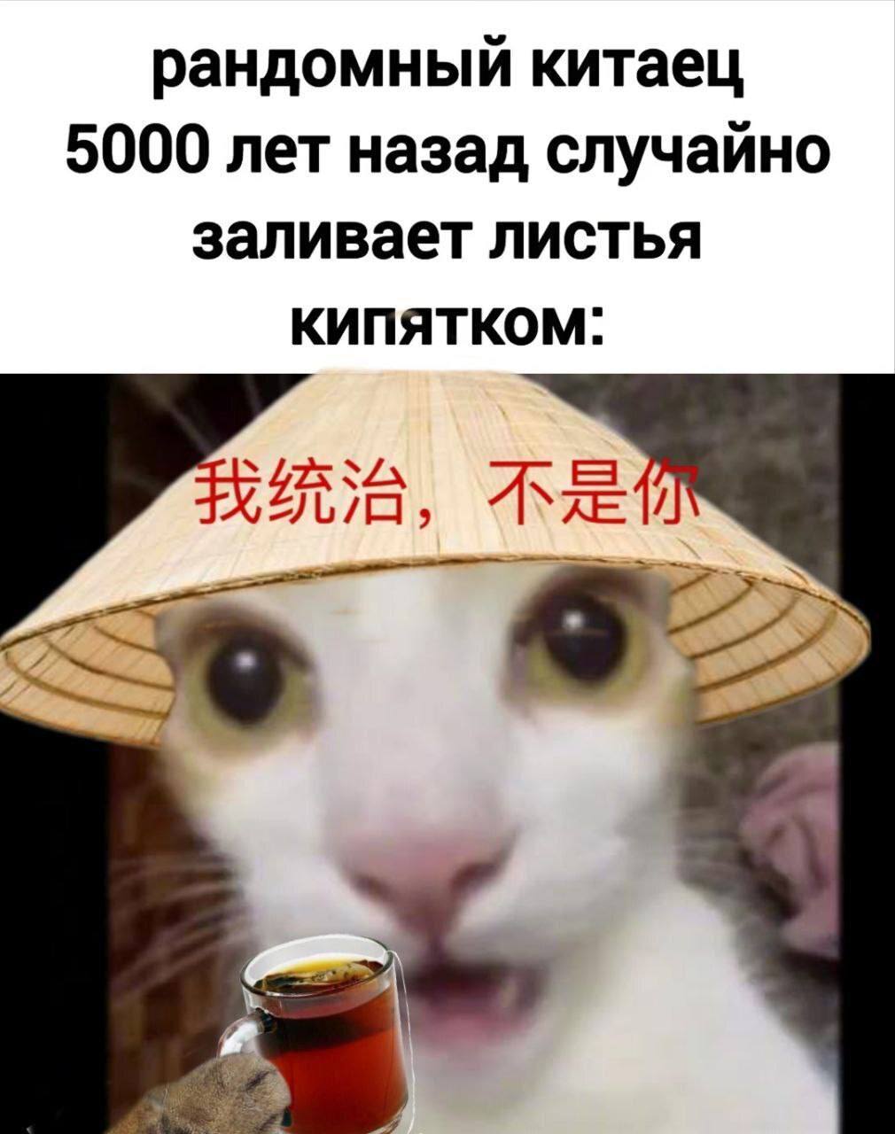 рандомный китаец 5000 лет назад случайно заливает листья КИПЯТКОМ: